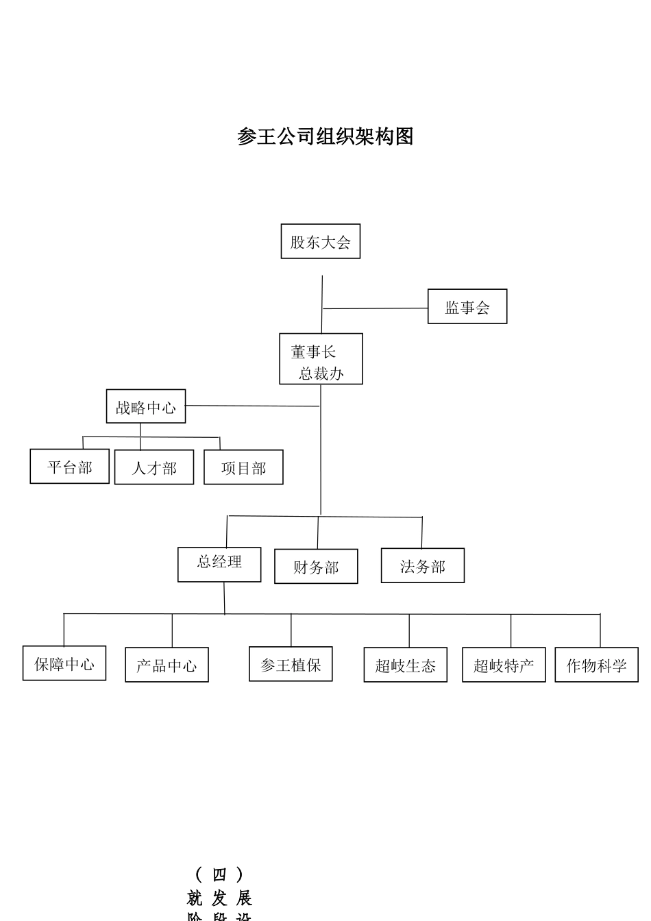 2025年人力资源战略规划_第2页
