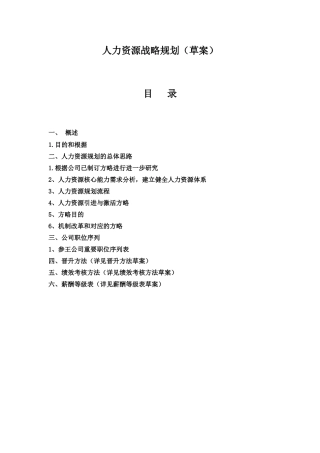 2025年人力资源战略规划