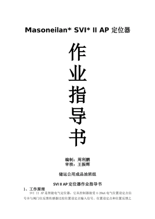 2025年梅索尼兰SVIII定位器操作业指导建议书