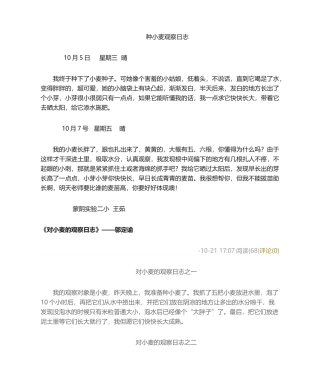 2025年种小麦观察日记