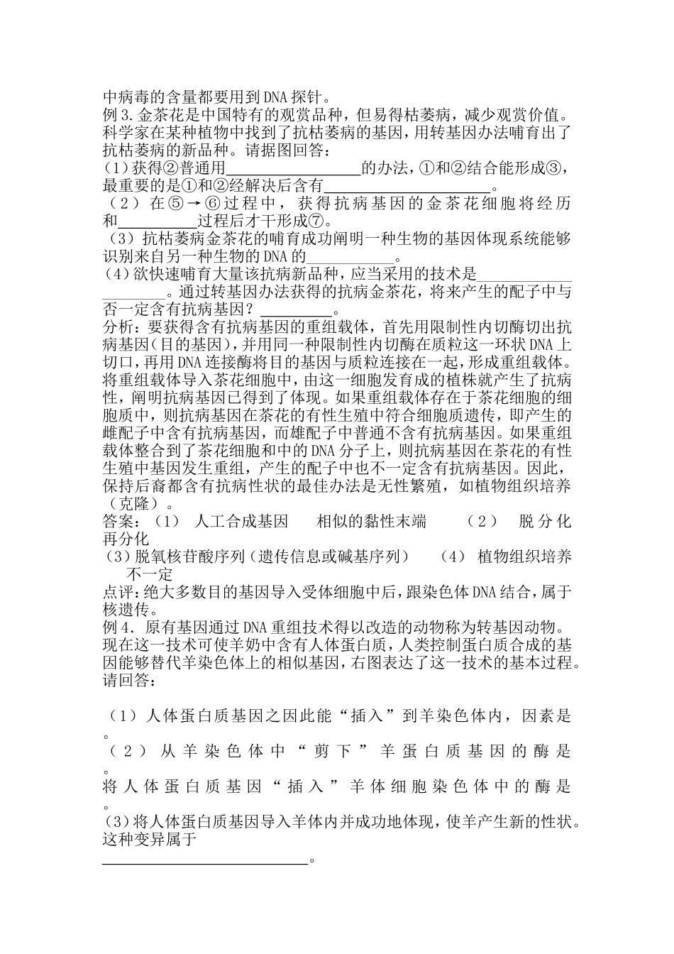 2025年转基因生物和转基因食品教案_第3页