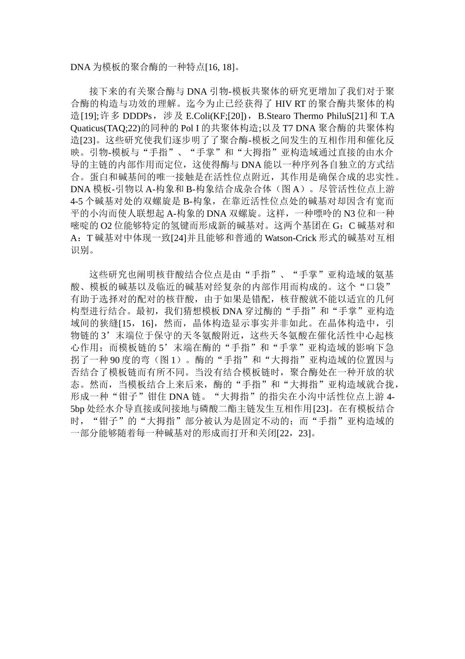 2025年RNA病毒的RNA聚合酶研究进展_第3页