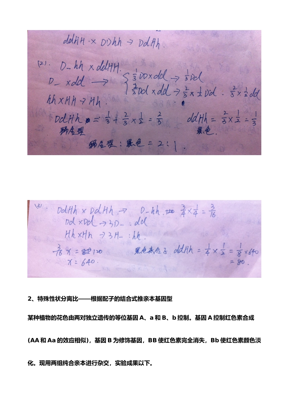 2025年自由组合定律经典例题_第3页