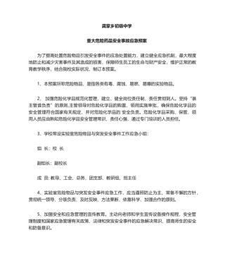 2025年危险品应急预案