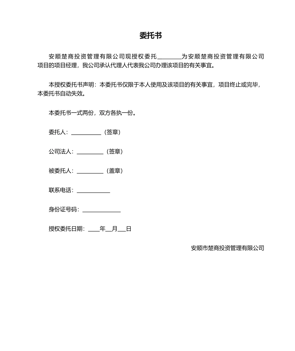 2025年项目授权委托书_第1页