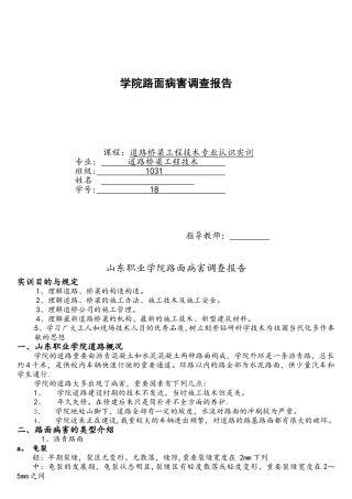 2025年路面病害报告