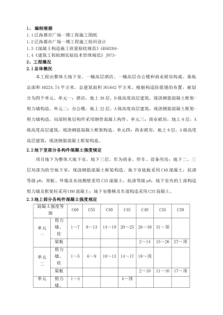 2025年实体检测施工方案