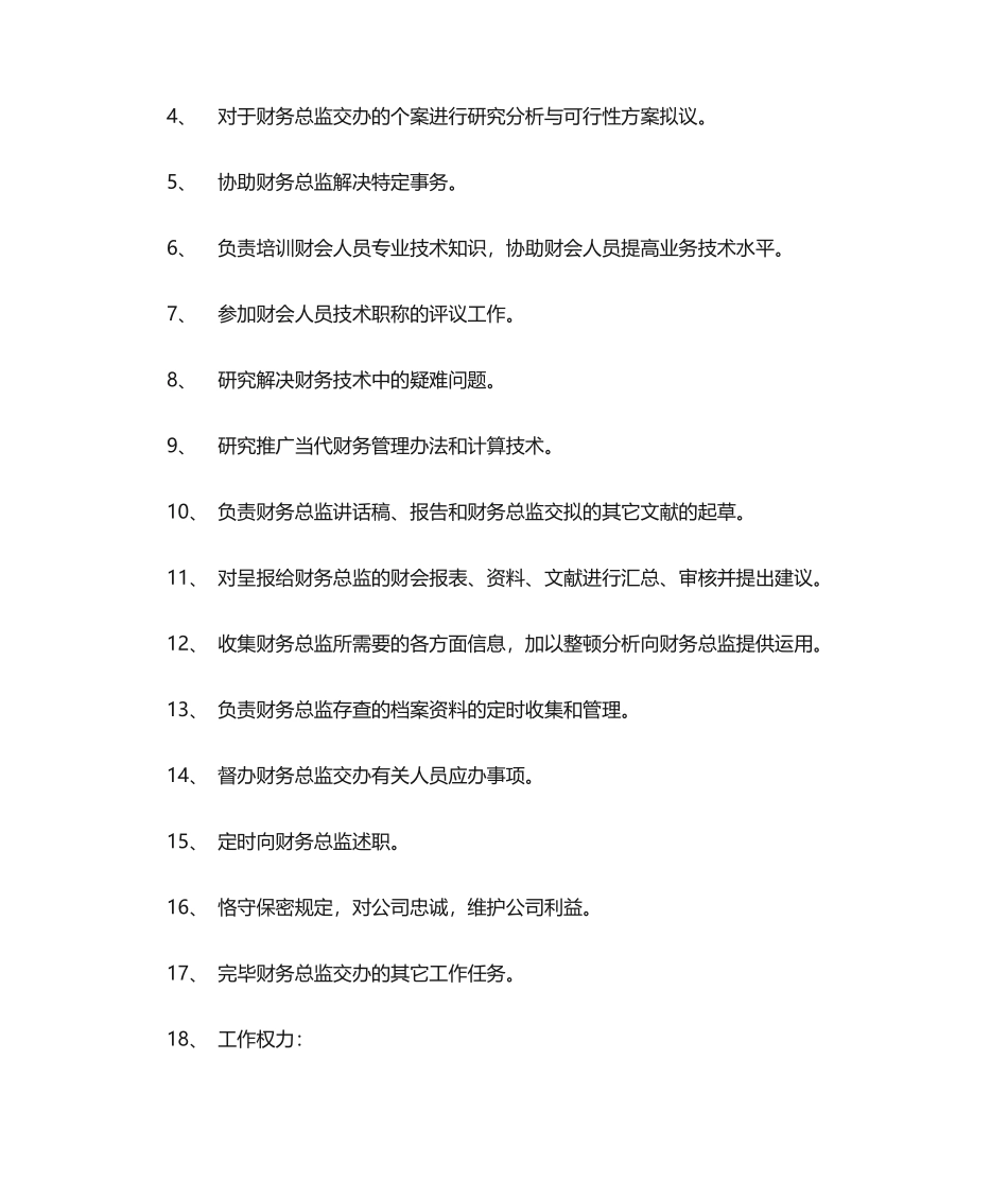 2025年财务总监助理岗位职责_第2页