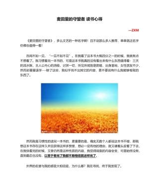 2025年麦田里的守望者 读书心得