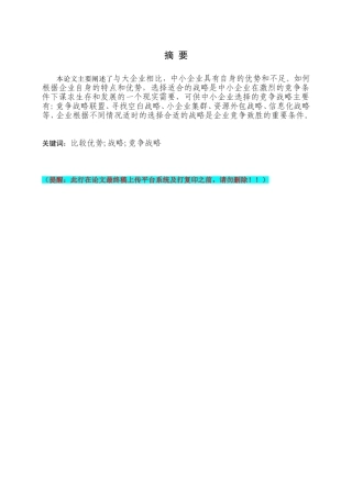 我国中小企业竞争优势分析项目管理专业