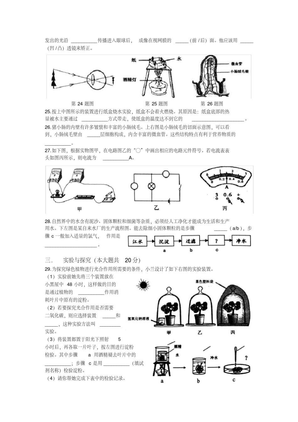 2017年上海市初中科学学业考试_第3页