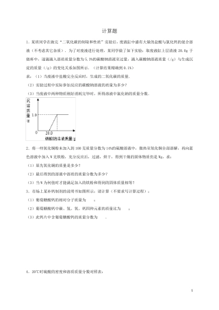 2017年中考化学专题训练计算题含解析