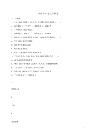 2017年中考化学试卷