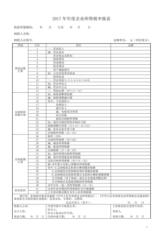 2017年企业所得税年度申报表A类