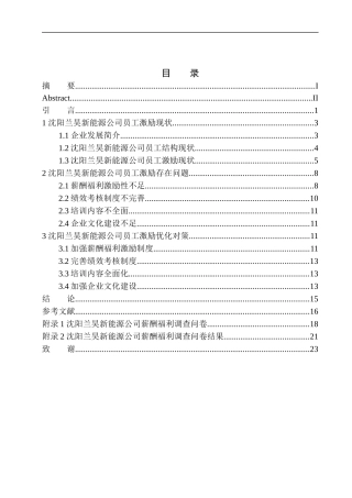 沈阳兰昊新能源公司员工激励问题研究人力资源管理专业