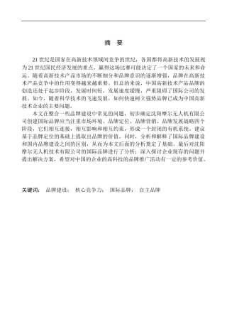 沈阳摩尔无人机科技有限公司国际品牌建设问题研究企业管理研究
