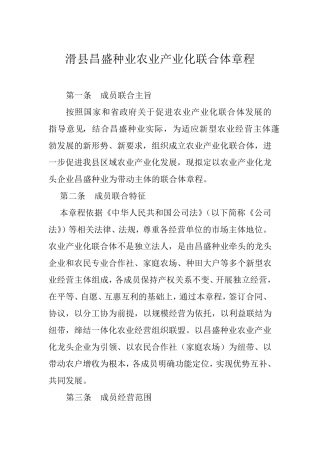 2018.6.17联合体章程