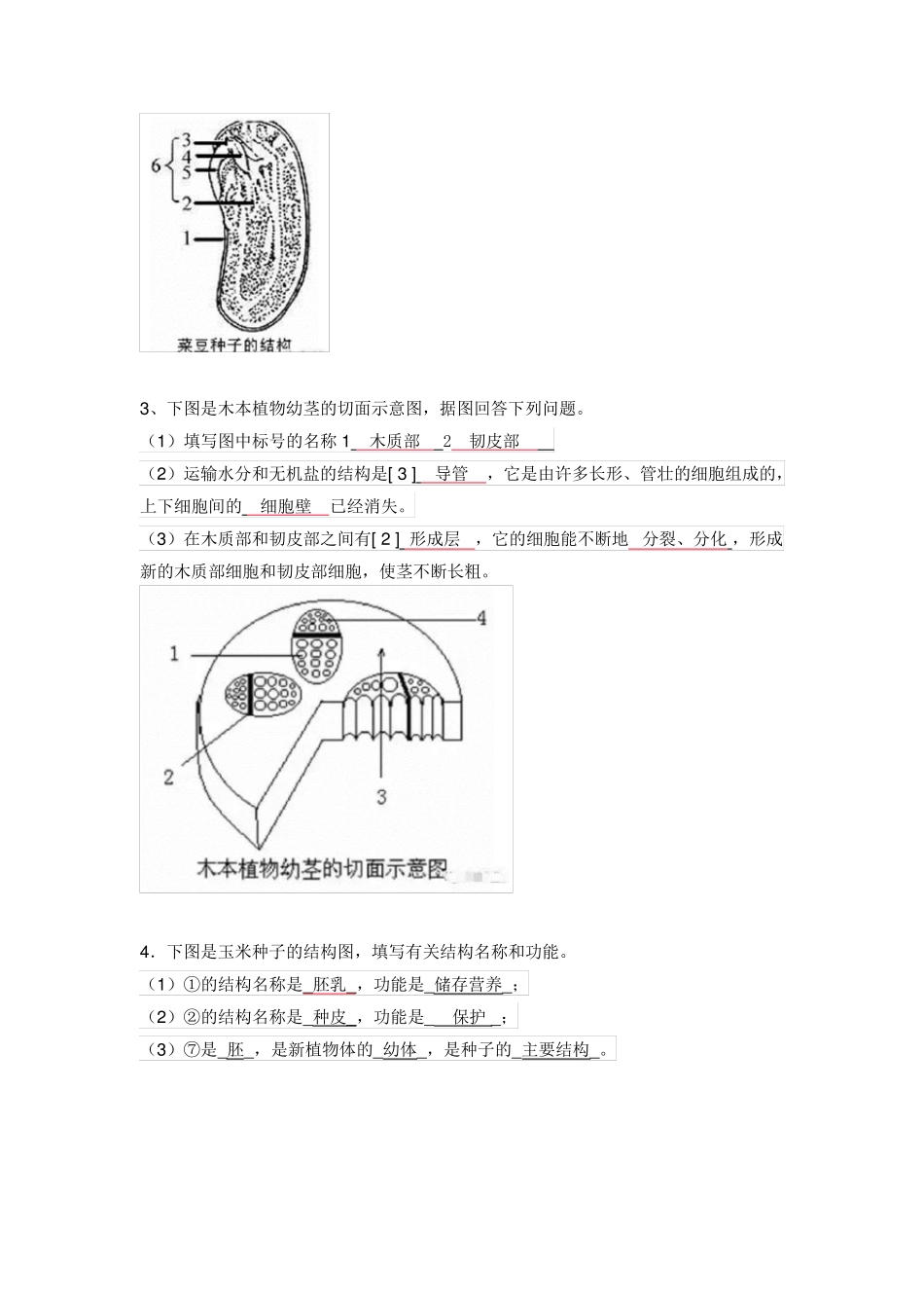 2018初中生物常考的识图填空题_第2页