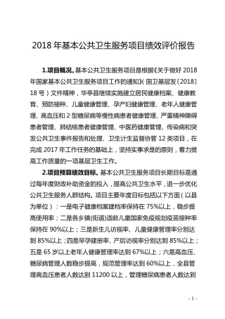 2018年基本公共卫生服务项目绩效评价报告