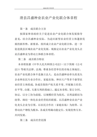 2019.6.17联合体章程