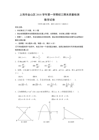 2019中考金山区初三数学一模及答案