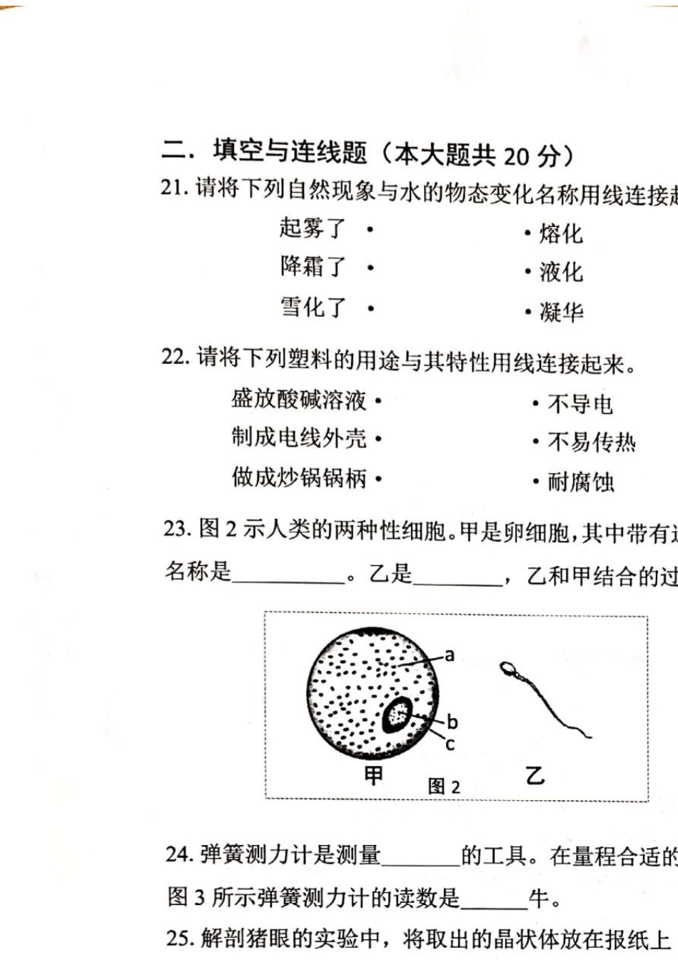 2019年上海市初中科学学业水平考试试卷_第3页