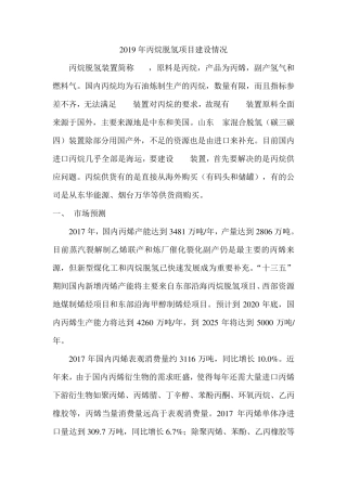 2019年丙烷脱氢项目建设情况