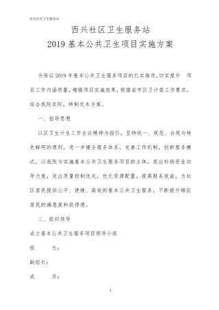 2019年公共卫生服务项目实施方案