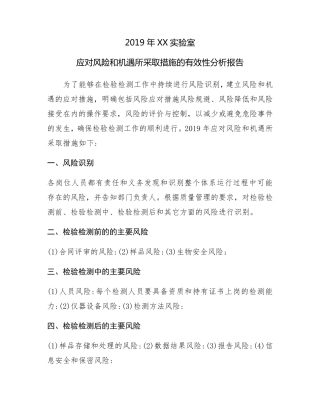 2019年实验室应对风险和机遇所采取措施的有效性分析报告