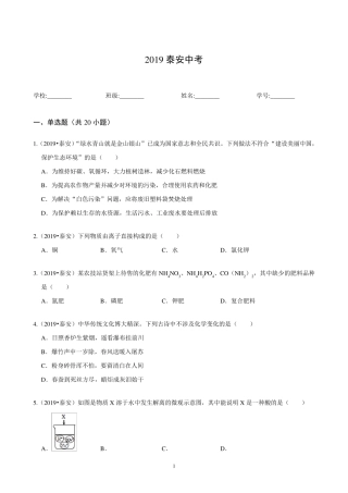2019泰安中考化学真题
