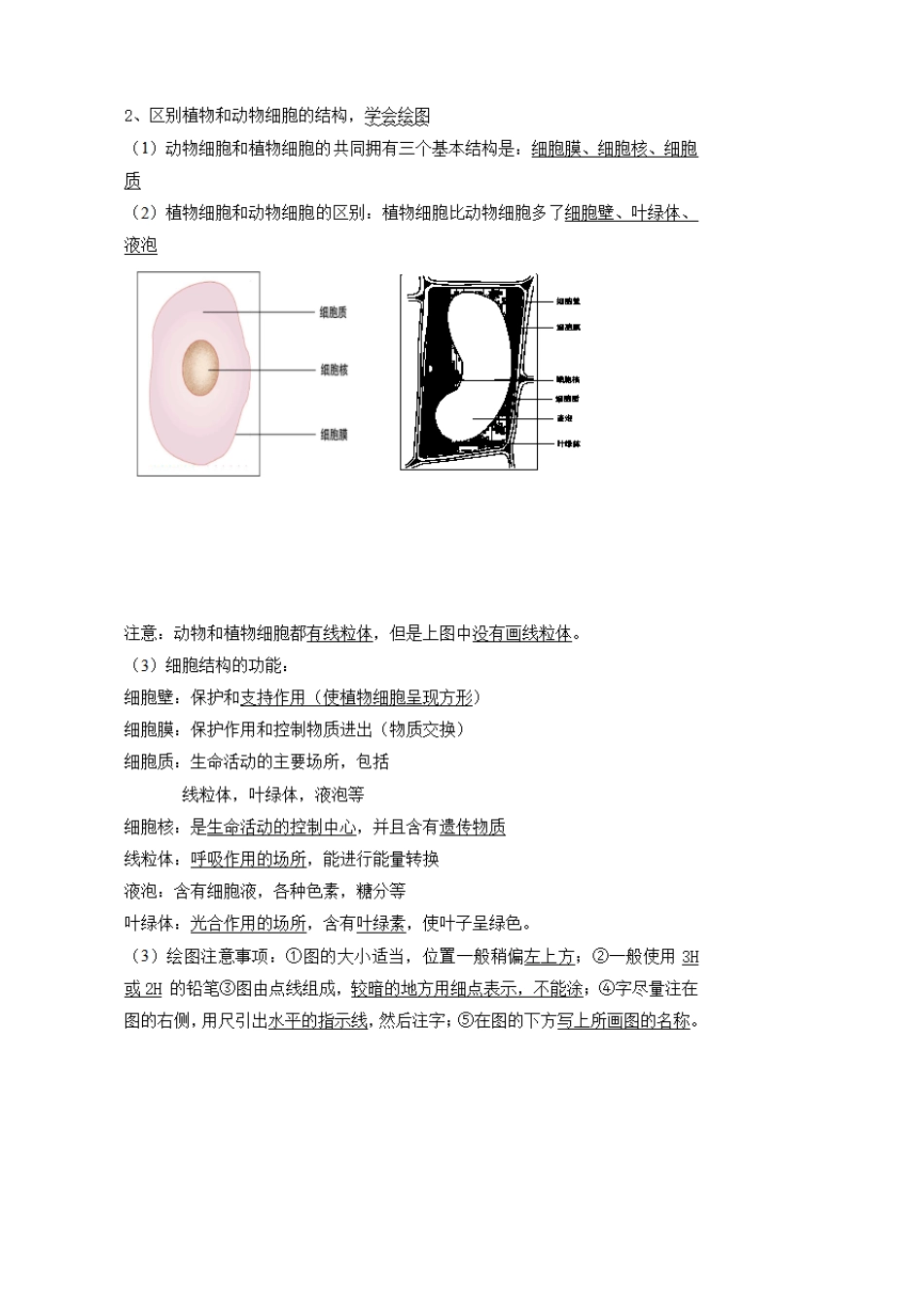 2020初中生物会考知识点总结,初中生物中考考点必背(完整打印版)_第3页