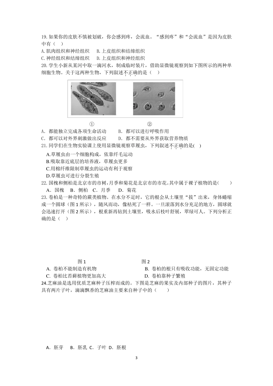 2020北京海淀区七年级(初一)第一学期期末调研生物试题带答案_第3页