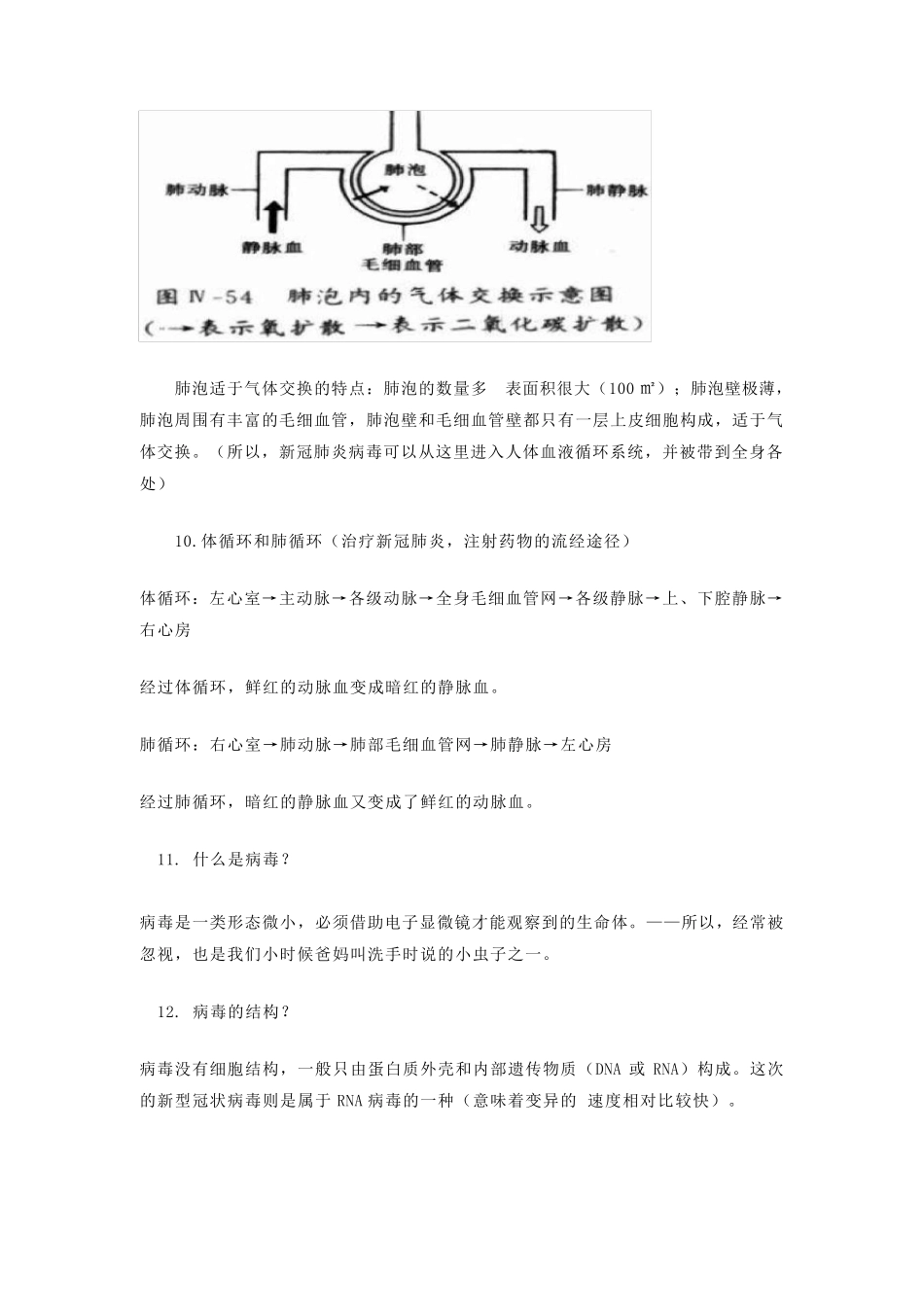 2020届中考生物备考新冠肺炎病毒肺炎相关初中生物考点出题和备考_第3页