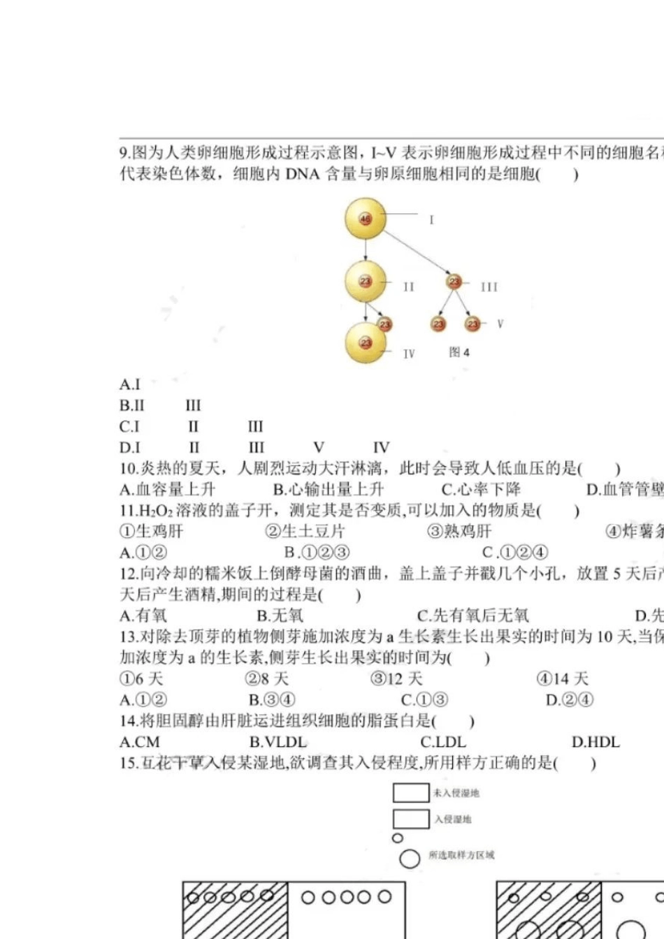 2020年上海市普通高中学业水平等级性考试生命科学试卷(2020上海生物等级考真题)_第2页