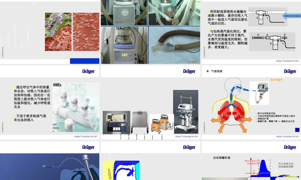 呼吸机培训-培训课件