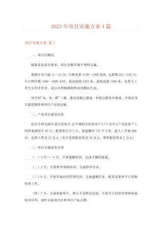 2023年项目实施方案4则