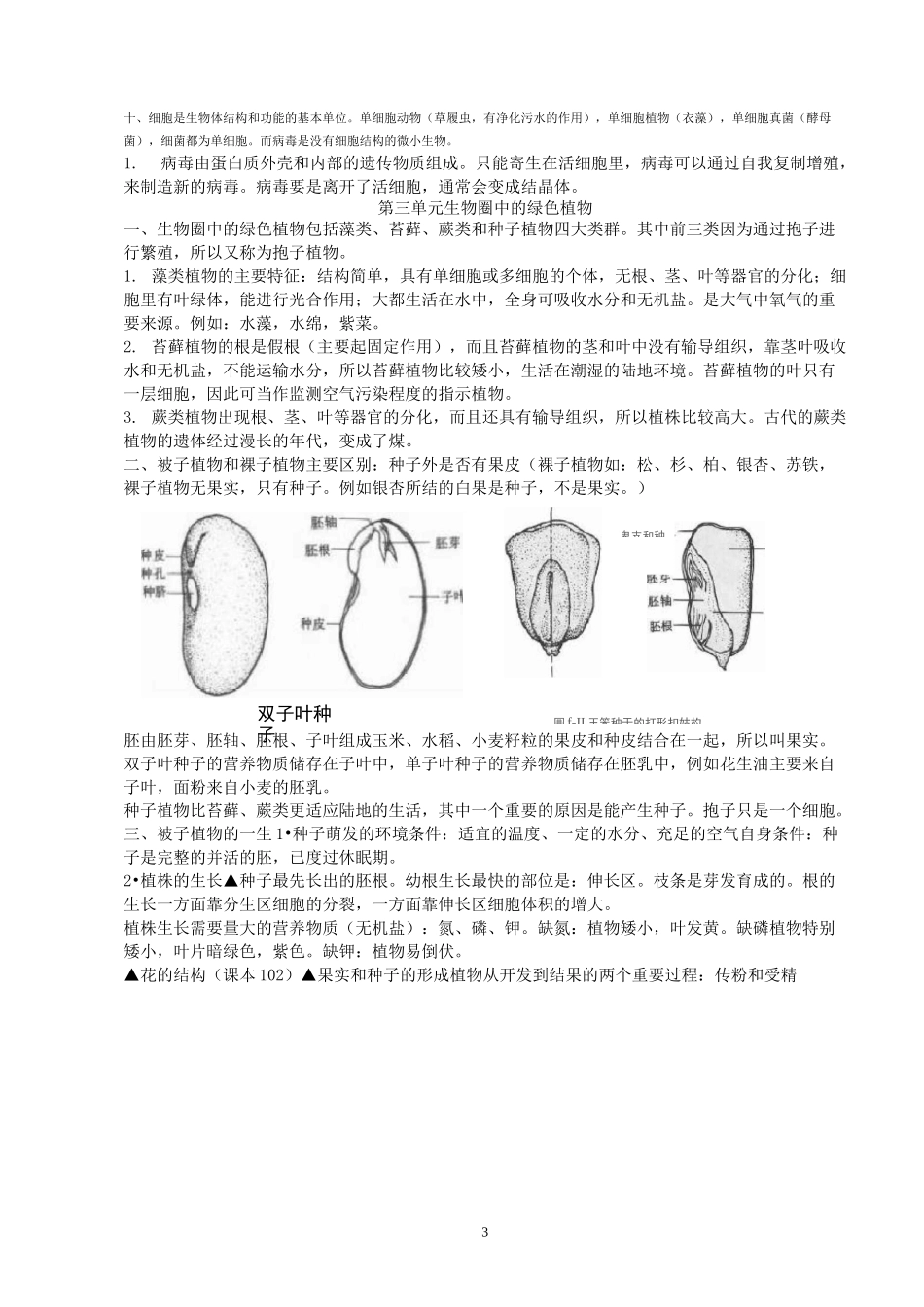 人教版初中生物知识点清单_第3页