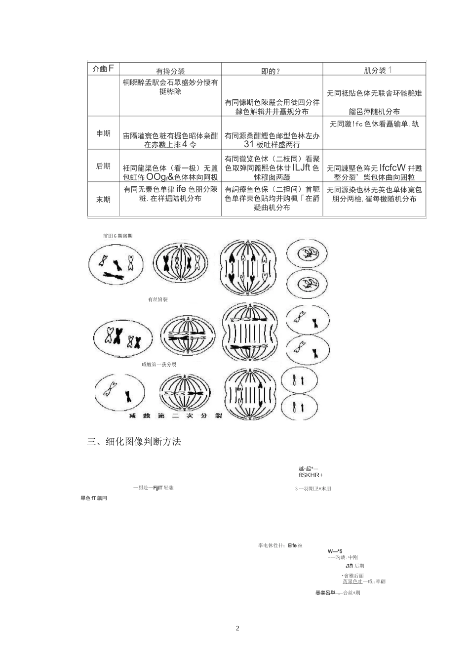 有丝分裂和减数分裂区别_第2页