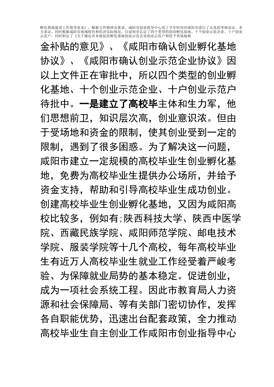 孵化基地工作总结_第2页