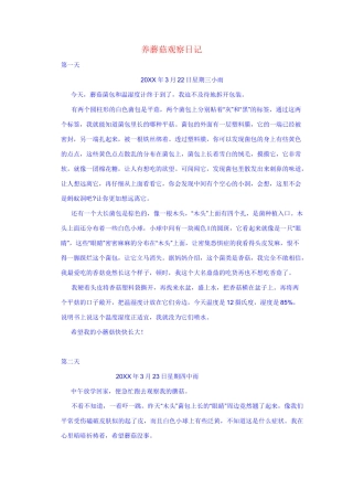 小学生作文 养蘑菇观察日记
