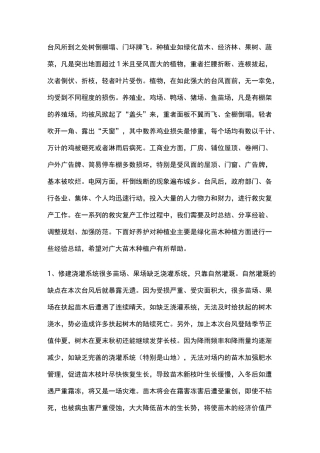 台风之后的绿化养护处理