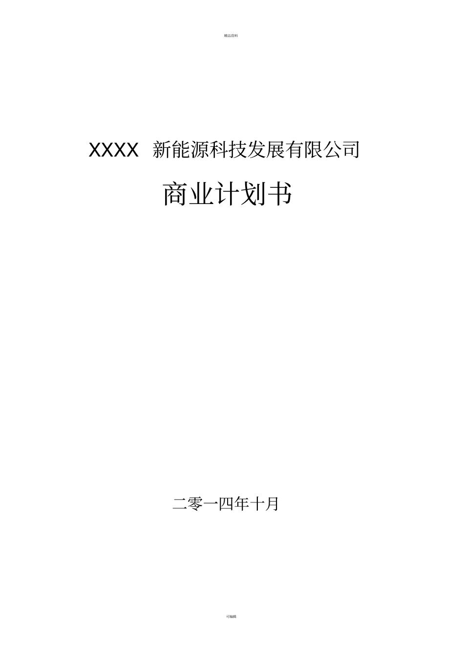 某新能源公司融资商业计划书_第1页
