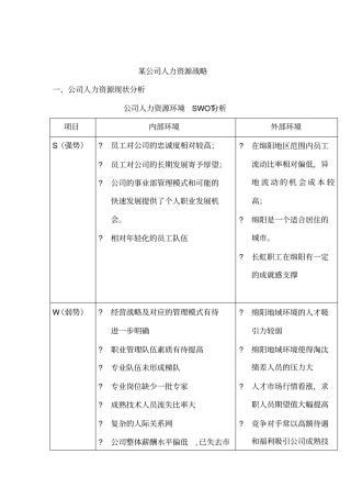某某公司人力资源战略分析