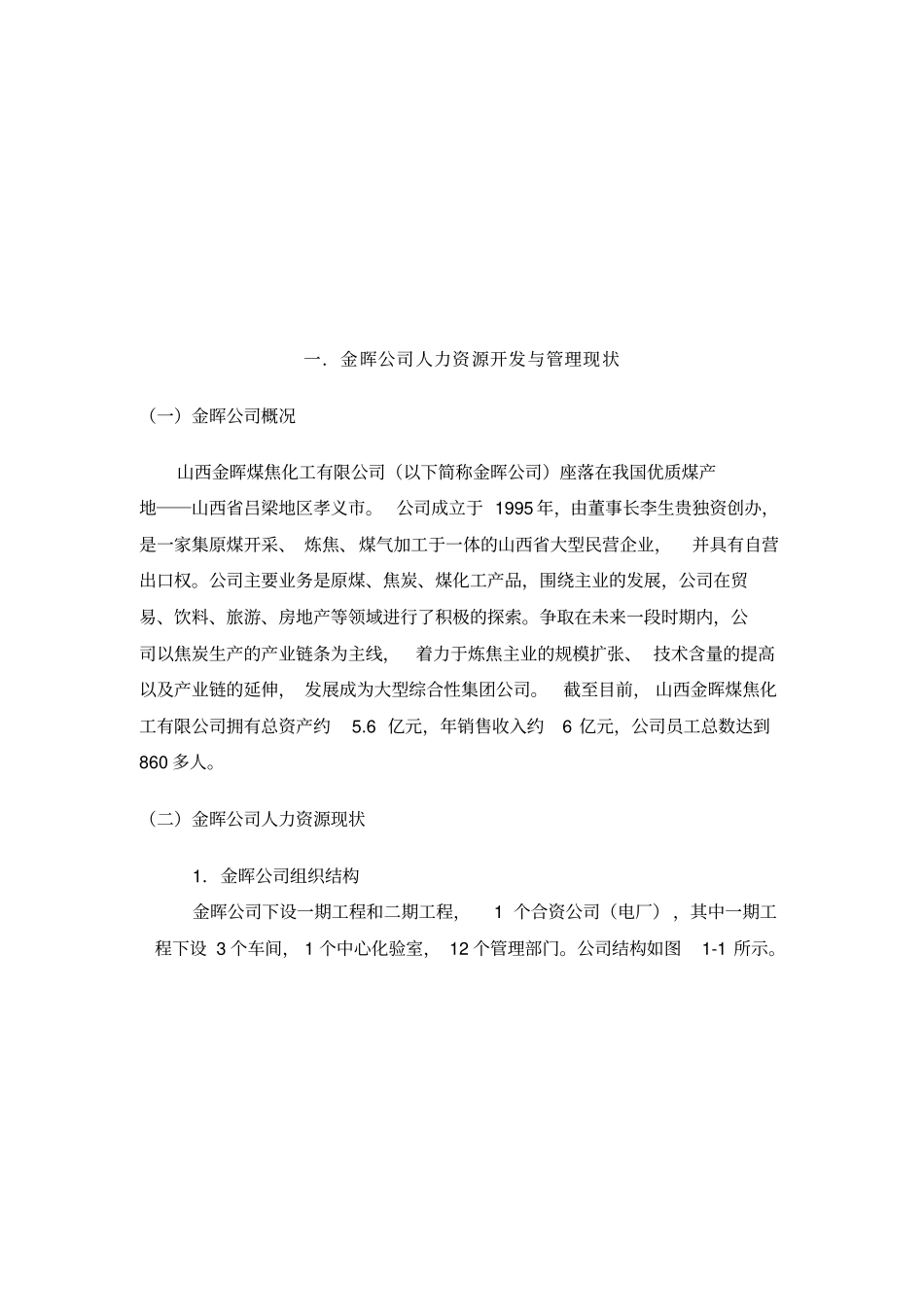 某某公司人力资源规划方案实施策略_第2页
