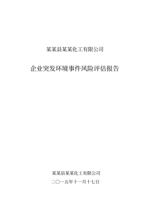 某某化工有限公司环境风险评价报告