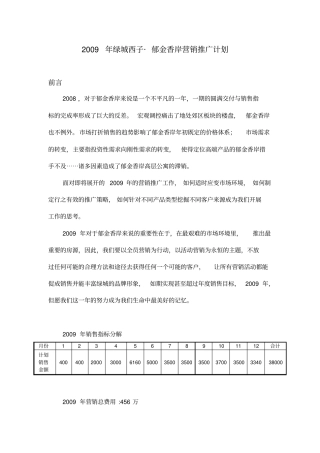 某楼盘年营销推广计划