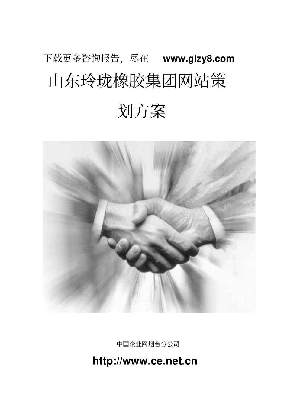 某橡胶集团网站策划专业技术方案_第1页