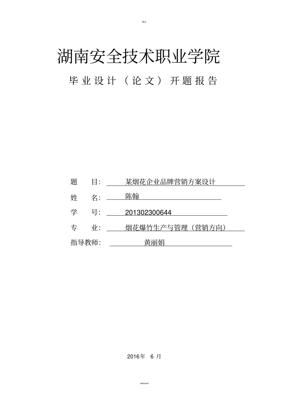 某烟花企业品牌营销方案设计_第1页