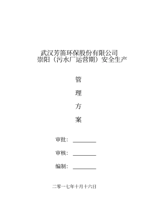 某环保股份有限公司安全生产管理方案