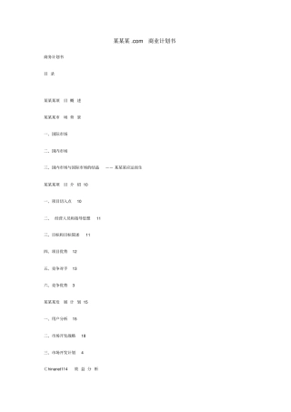 某网站商业计划书1